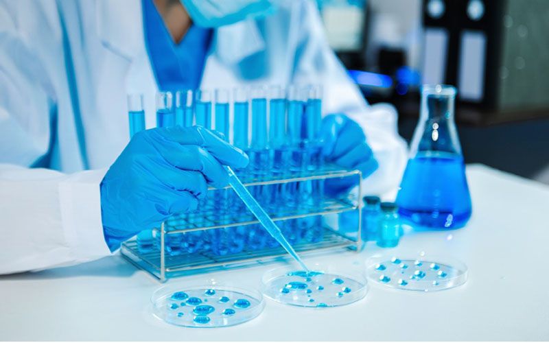 蛋白與免疫研究